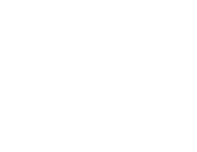 star-stable-logo-1